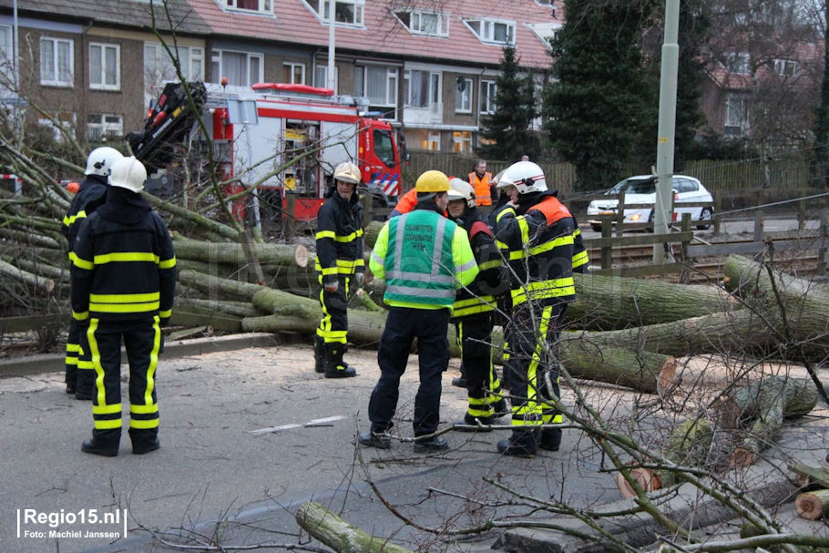 WMJ-IMG_2083