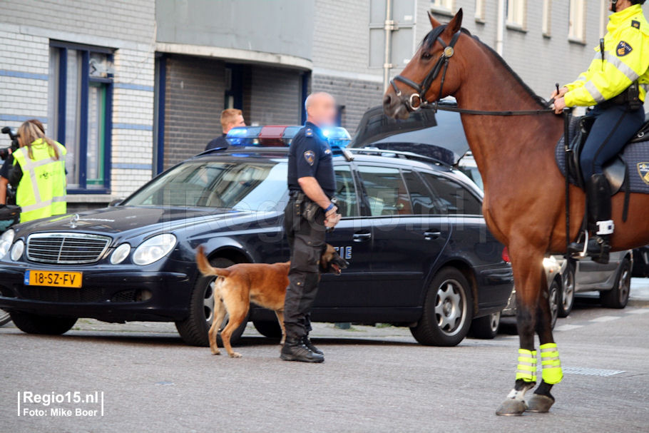 WMB-steijnlaan_IMG_1003