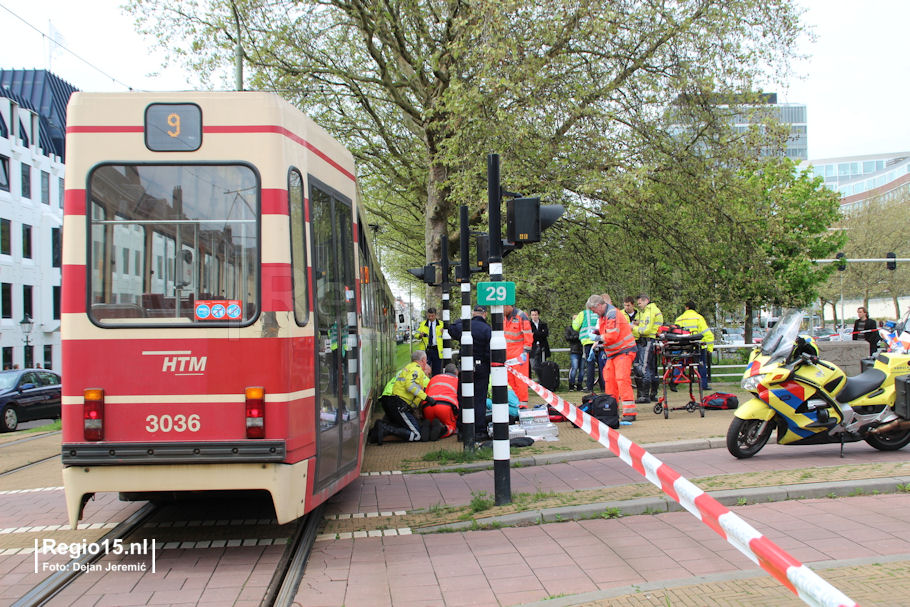 WDJ-IMG 5964