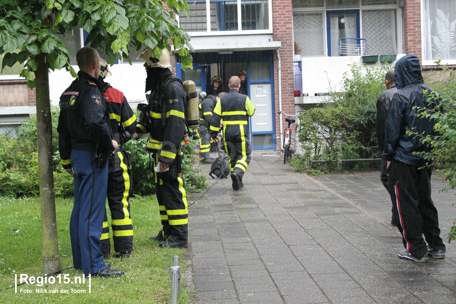 w-img 8872