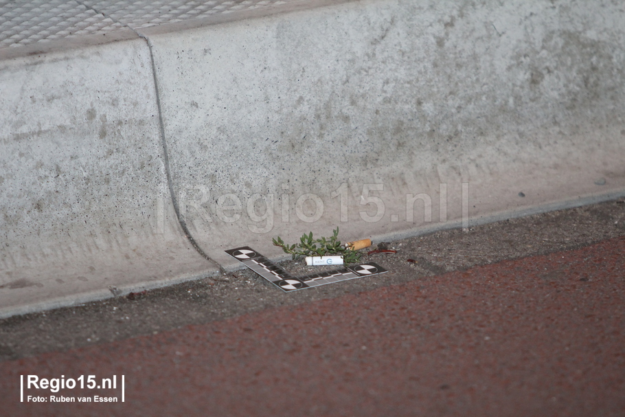 w-img 8833