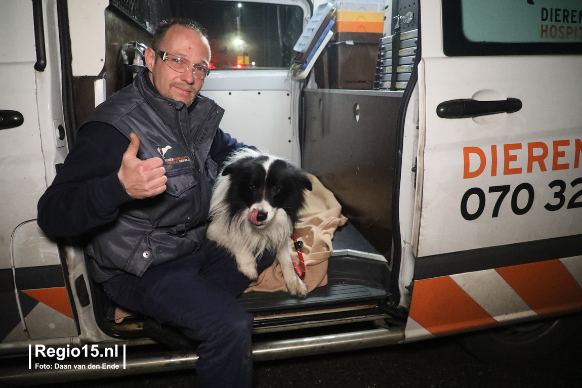 Dierenambulance Den Haag