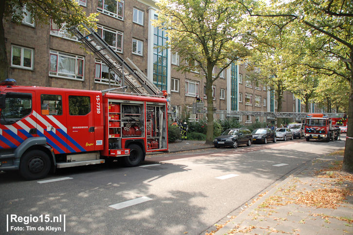 t-dsc_2070